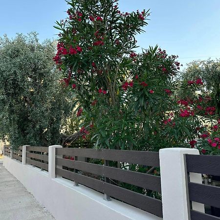 Valia House Thassos Daire Skála Kallirákhis Dış mekan fotoğraf