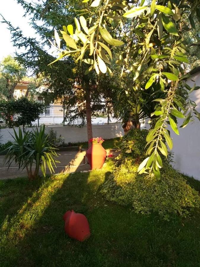 Valia House Thassos Daire Skála Kallirákhis Dış mekan fotoğraf