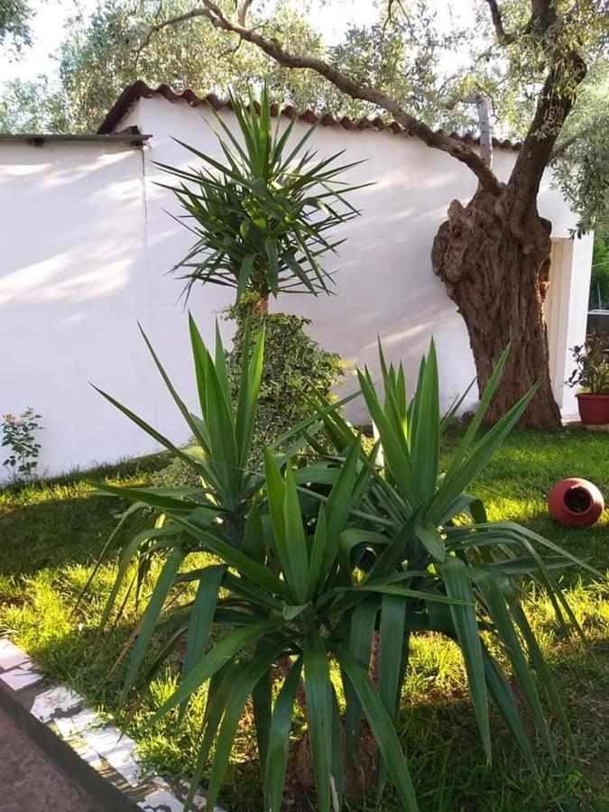Valia House Thassos Daire Skála Kallirákhis Dış mekan fotoğraf