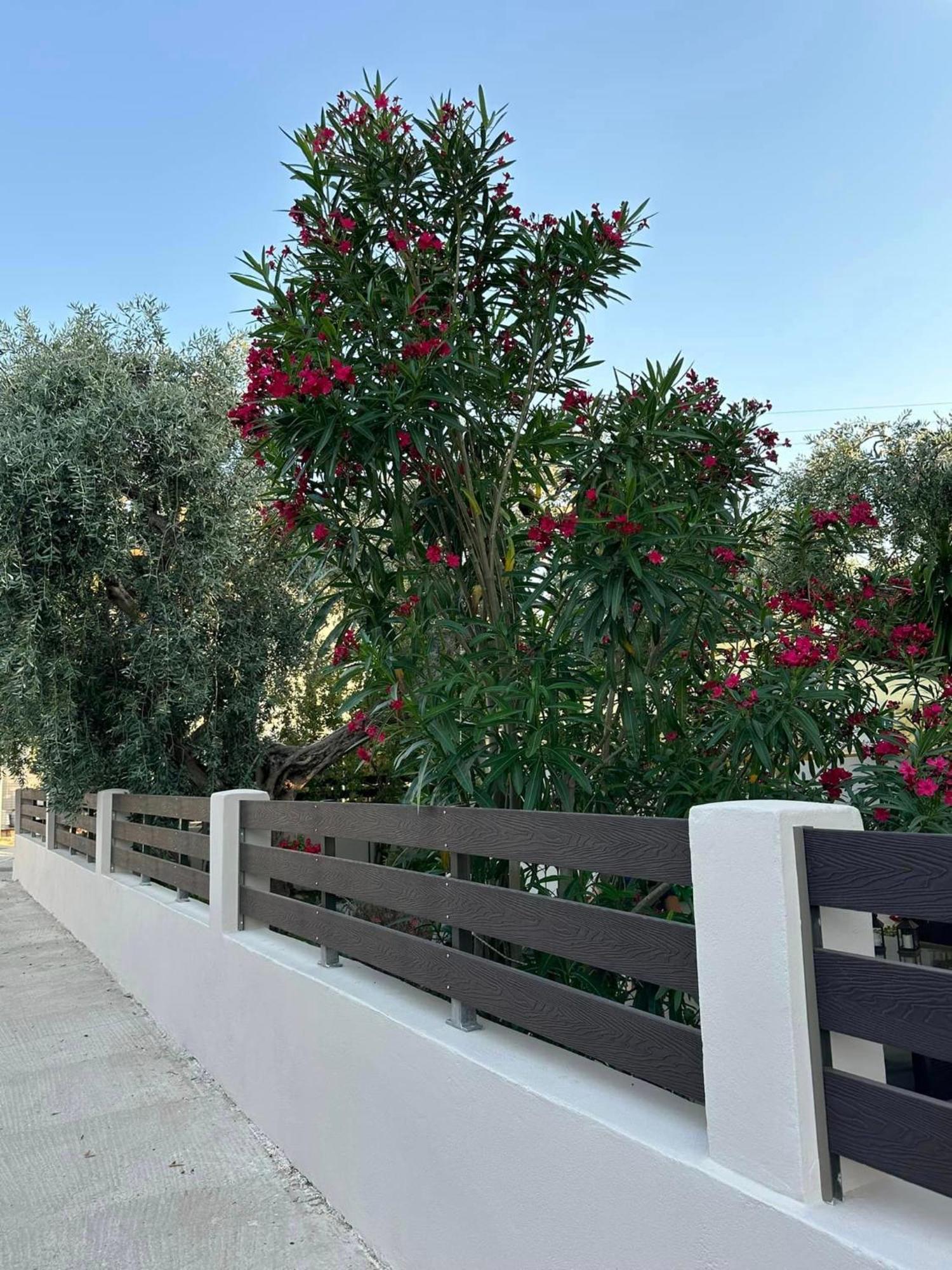 Valia House Thassos Daire Skála Kallirákhis Dış mekan fotoğraf