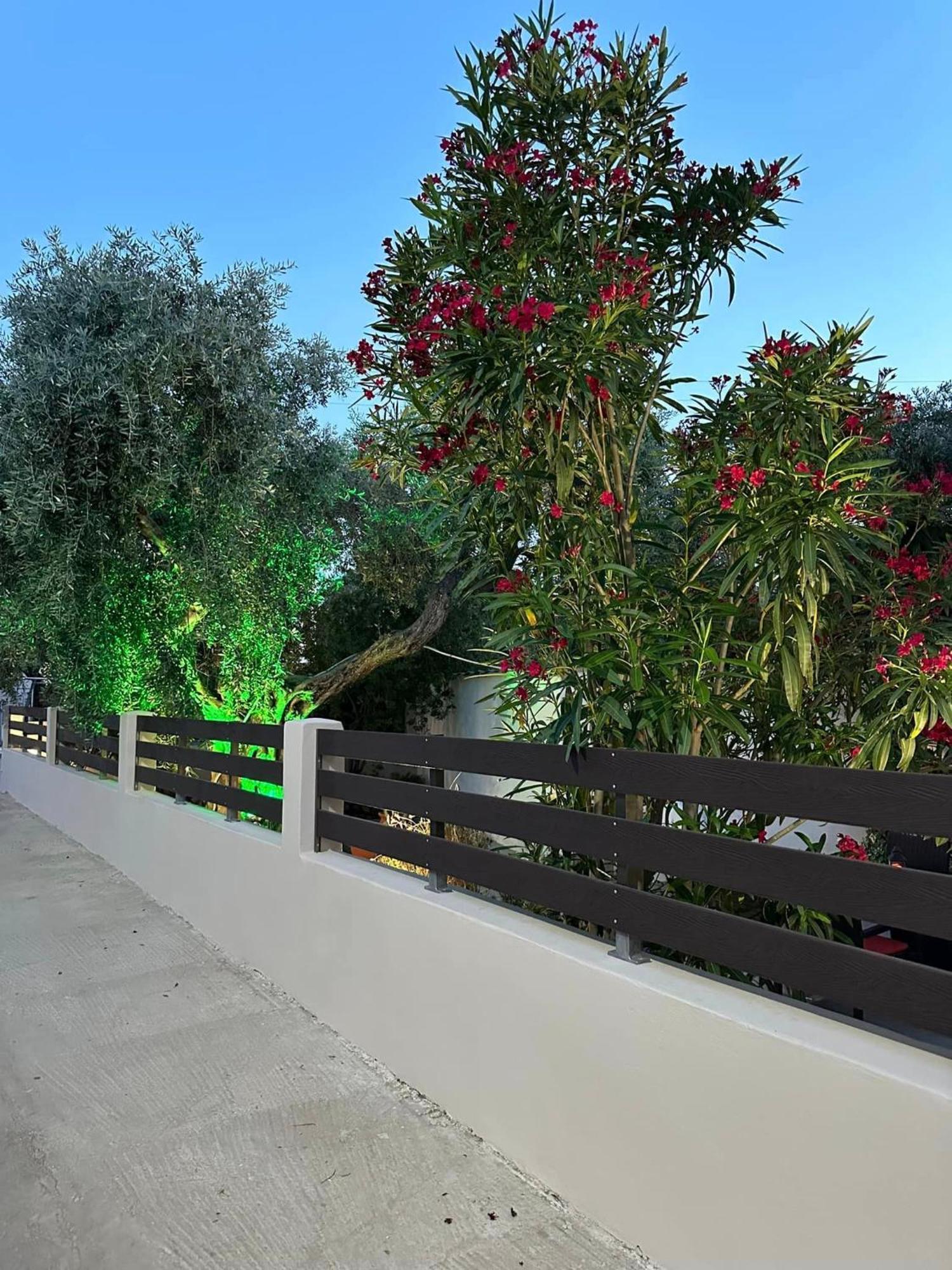 Valia House Thassos Daire Skála Kallirákhis Dış mekan fotoğraf