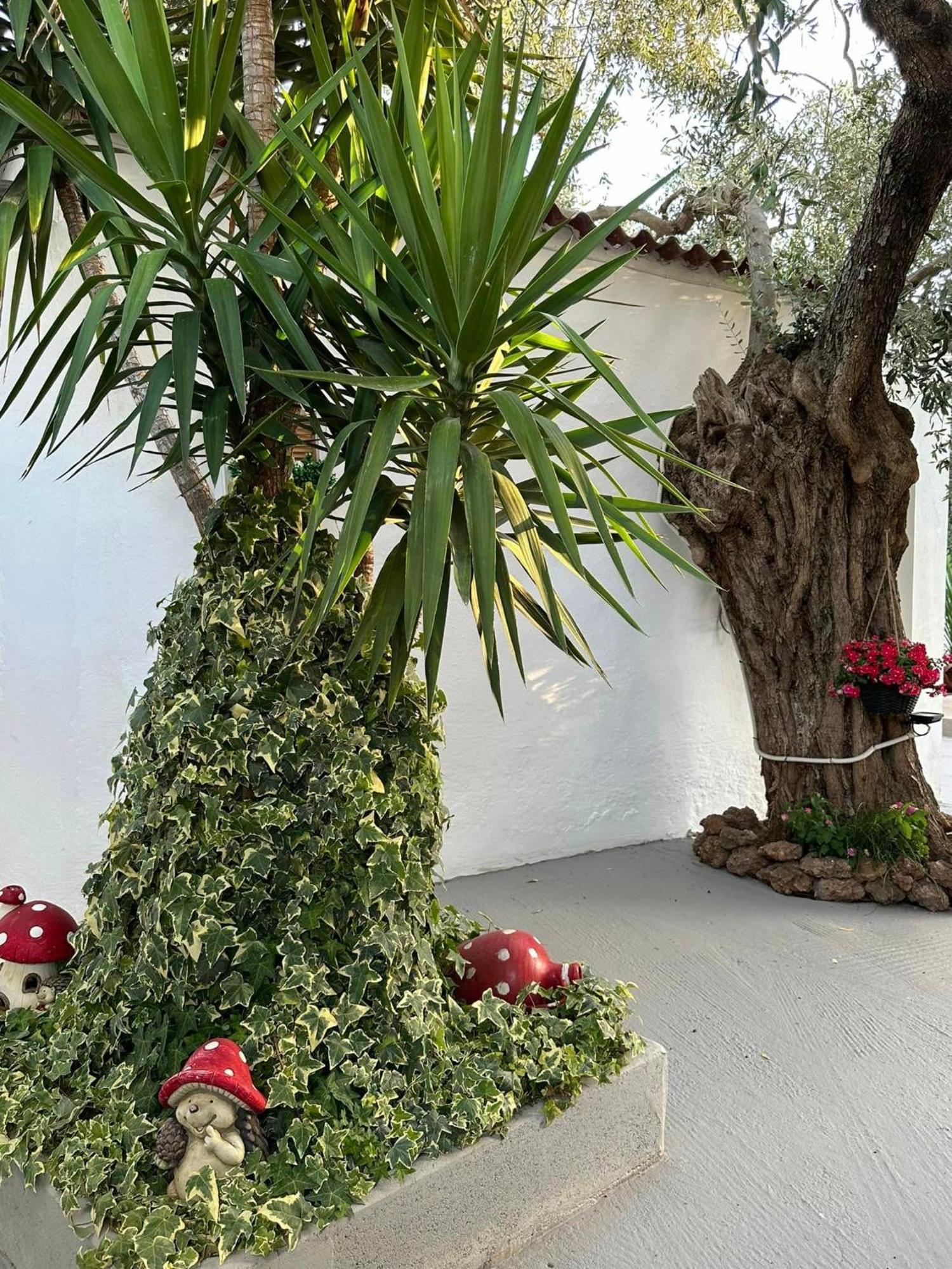 Valia House Thassos Daire Skála Kallirákhis Dış mekan fotoğraf