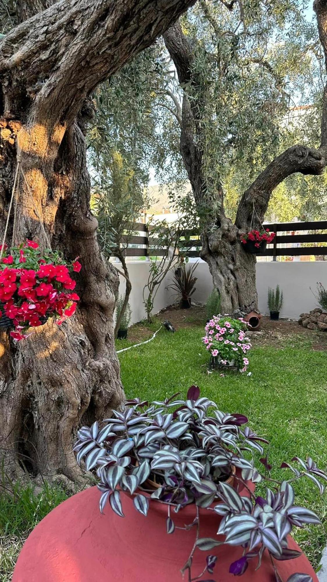 Valia House Thassos Daire Skála Kallirákhis Dış mekan fotoğraf