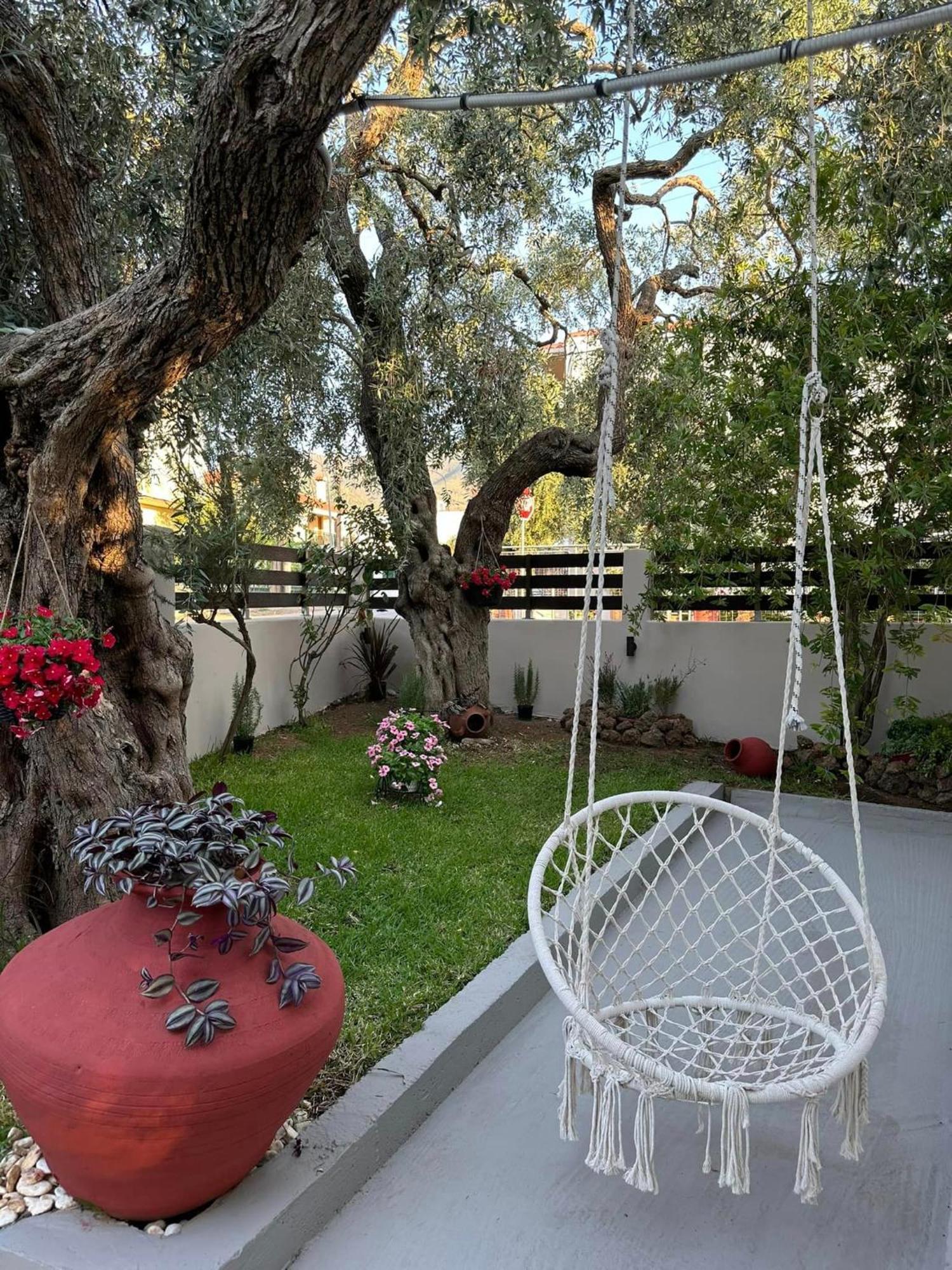 Valia House Thassos Daire Skála Kallirákhis Dış mekan fotoğraf