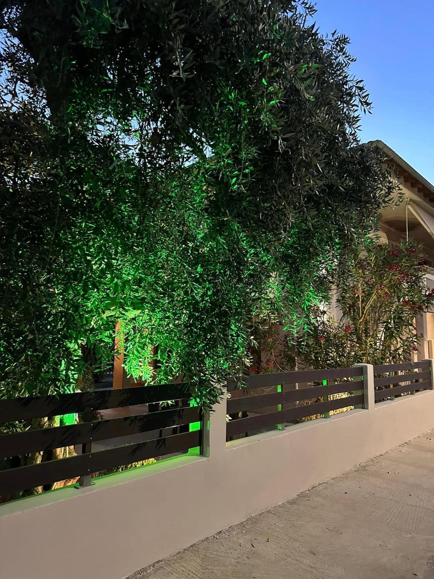 Valia House Thassos Daire Skála Kallirákhis Dış mekan fotoğraf